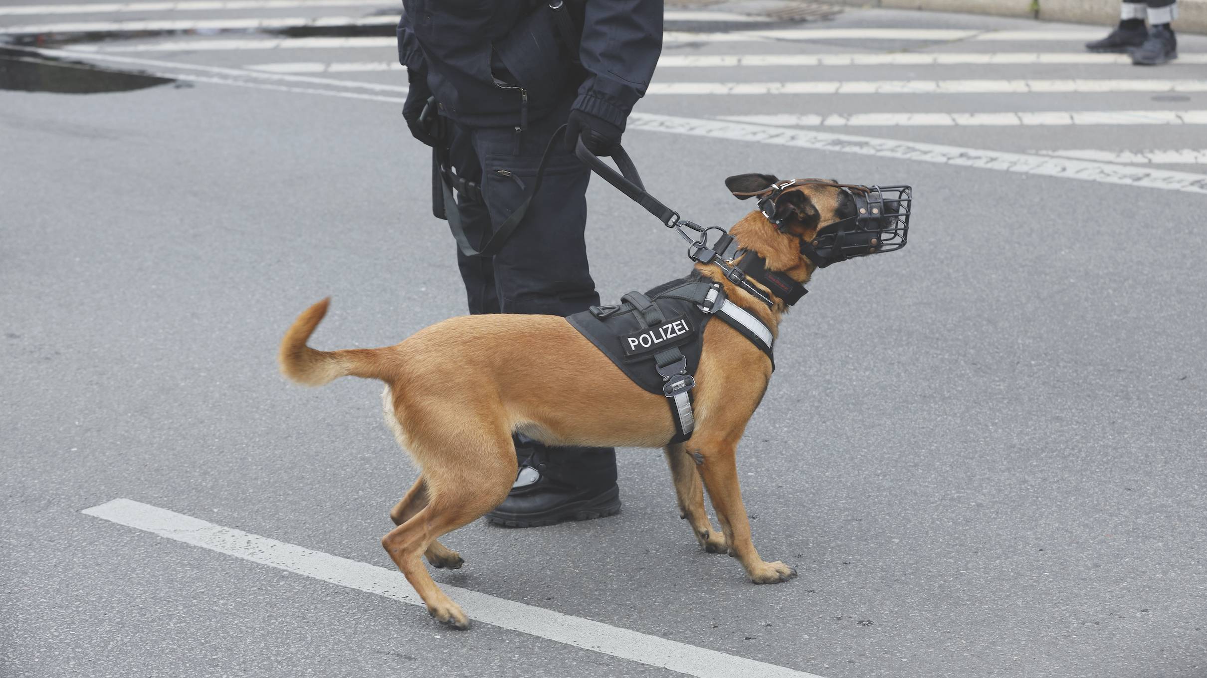 בעד פטמת הזכוכית