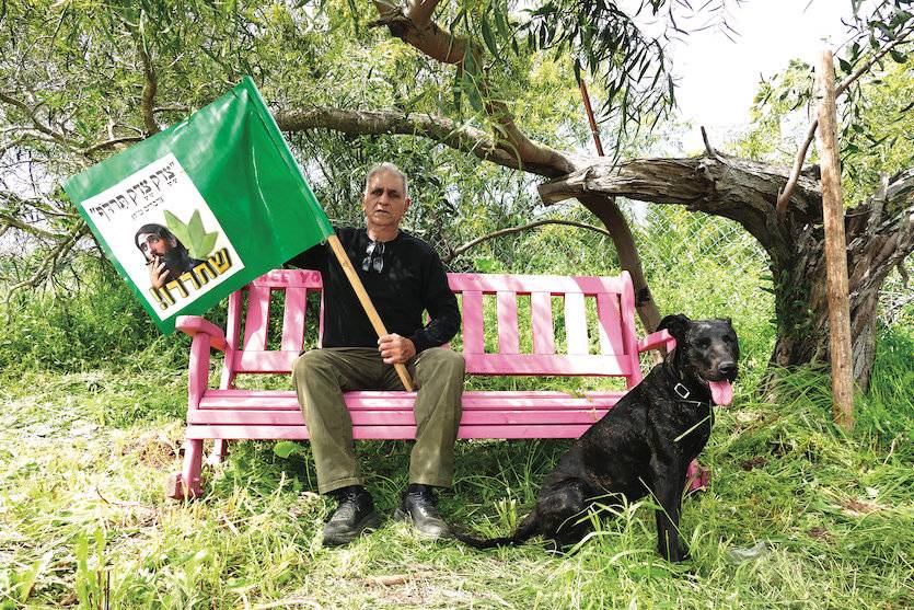 החדשות הטובות: הסטלנות כבר לא פלילית, הרעות: היא תעלה הרבה יותר 