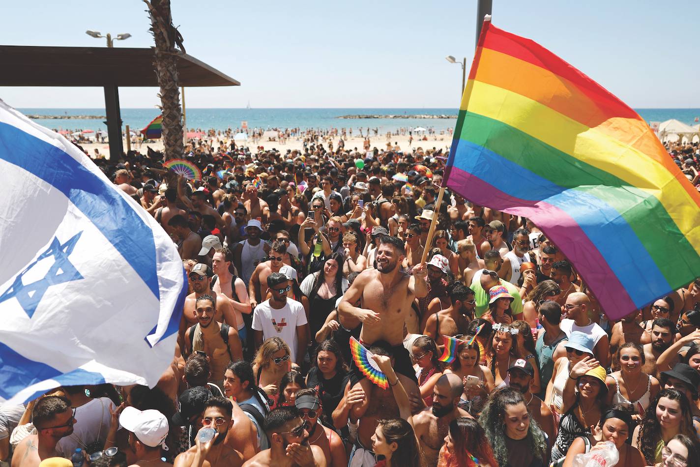 החיים שלנו תותים?