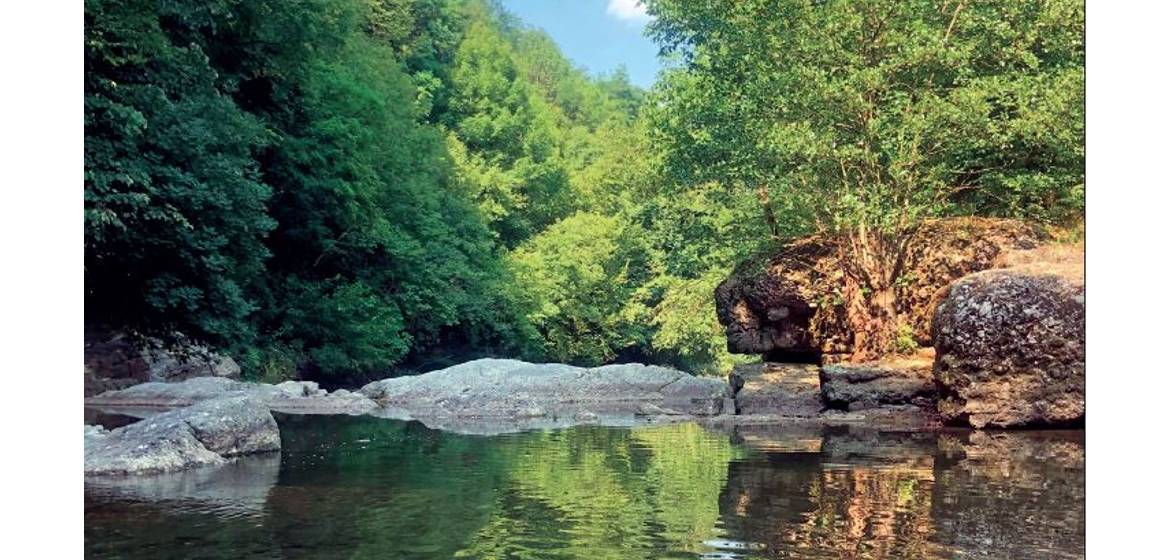 שלום, אבא מה שלומך?