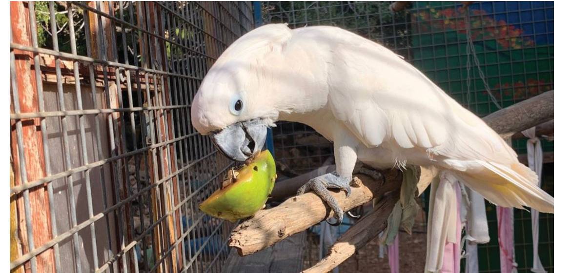 היה טוב – היה יוסי