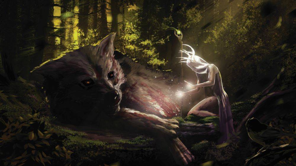 כוחו של המרפא הפצוע