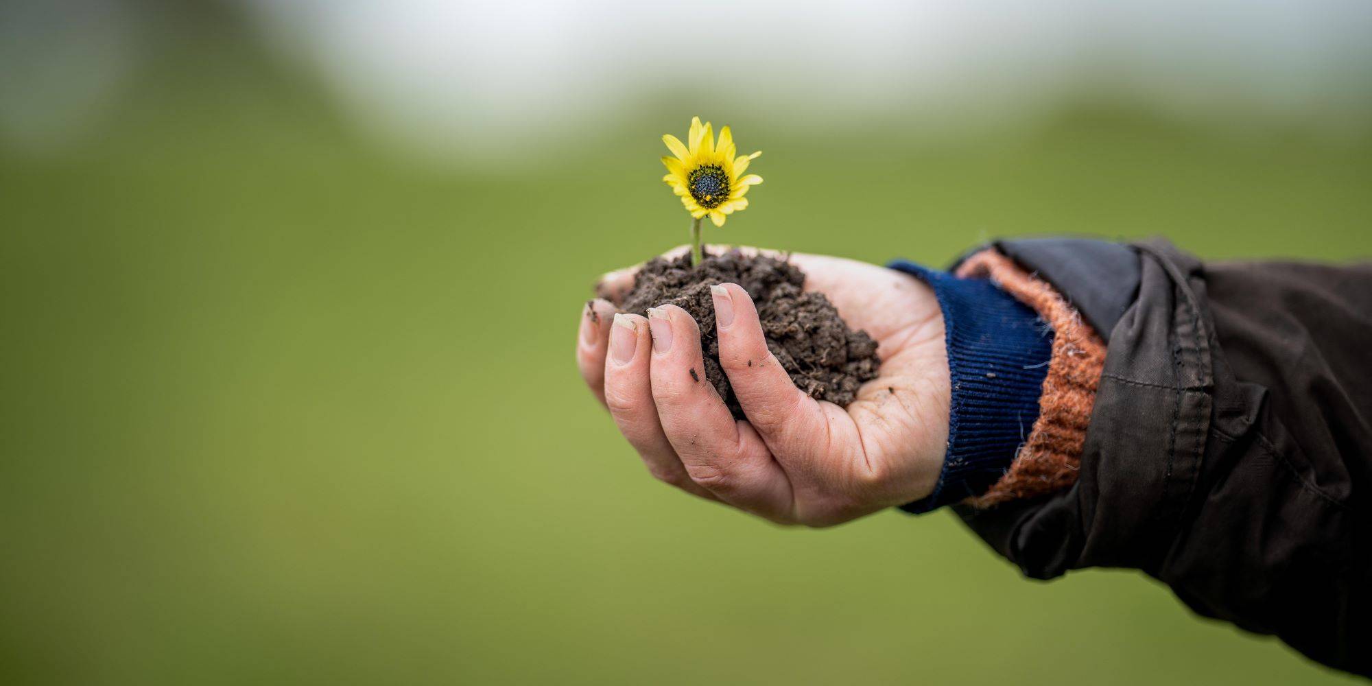 כשהאדמה נשמטת מתחת לרגלינו
