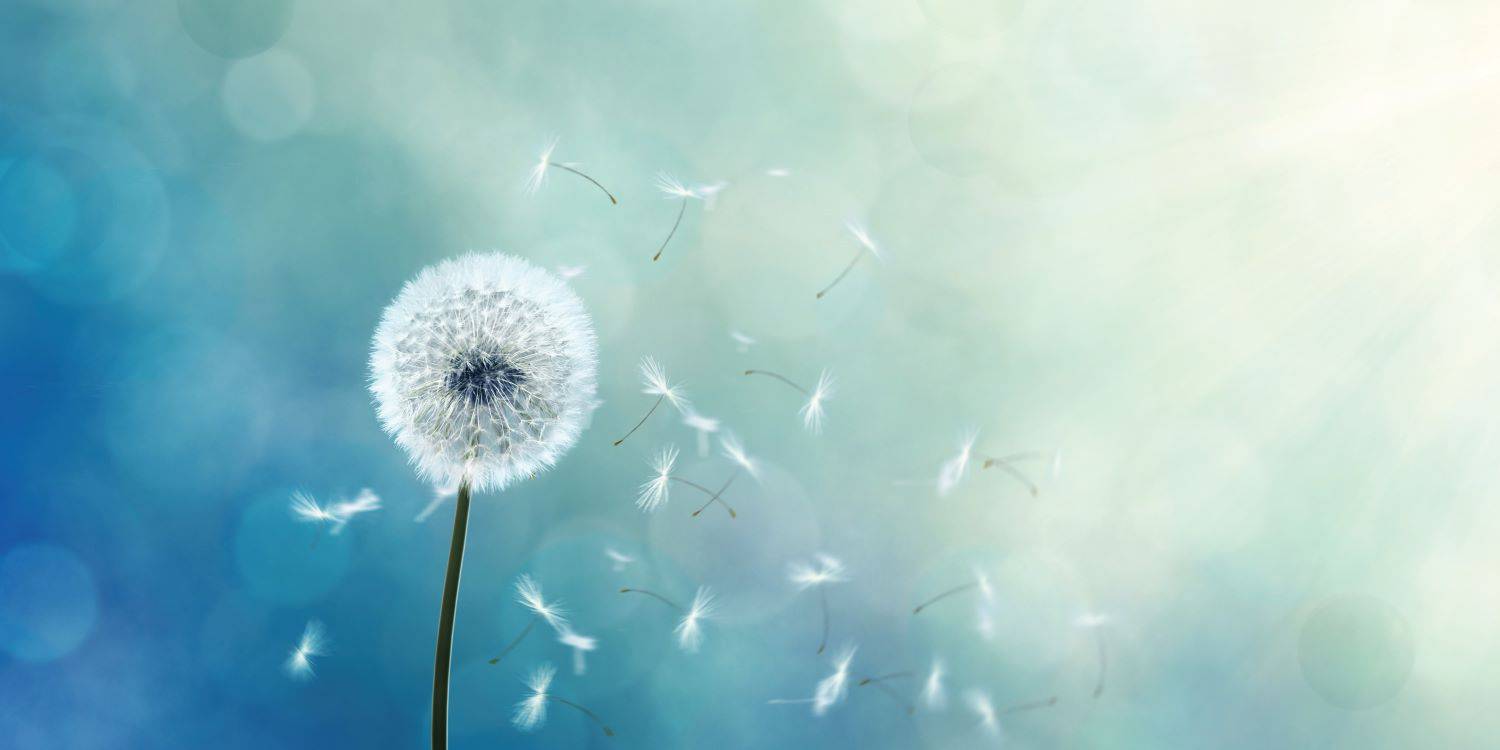 לוחם אפצ’י