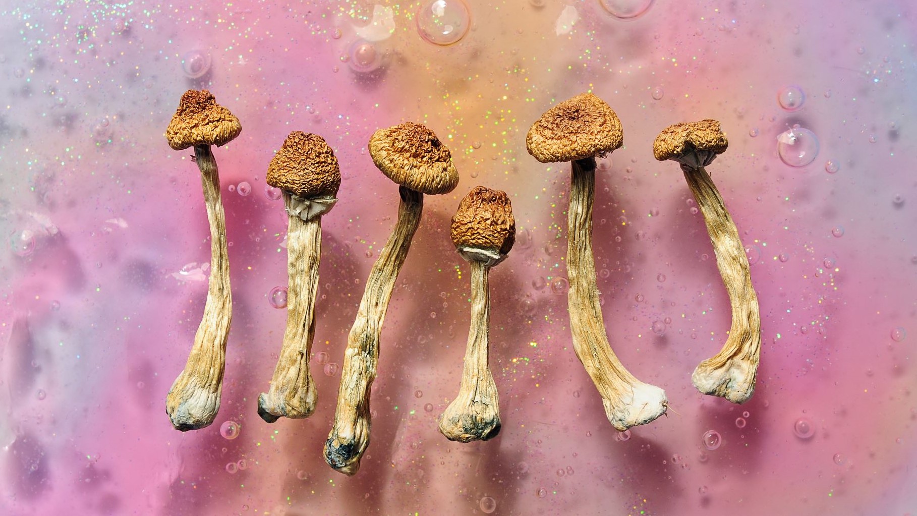 זמן טראנספורמציה