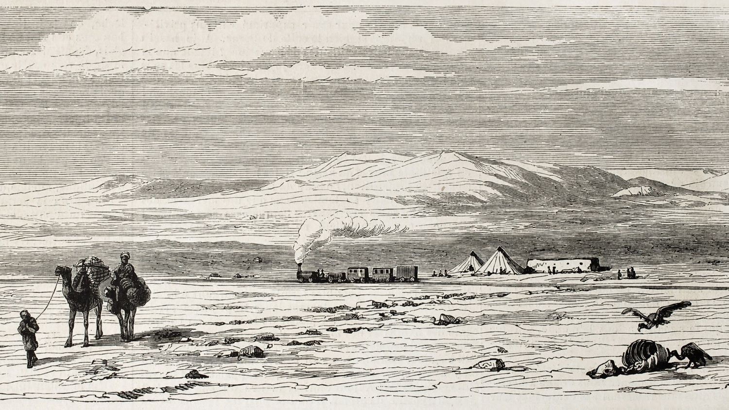 מתפלח עם פלאחים